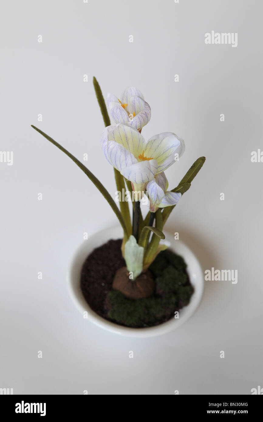 Tulipe blanche sur fond blanc de fleurs en soie Banque D'Images