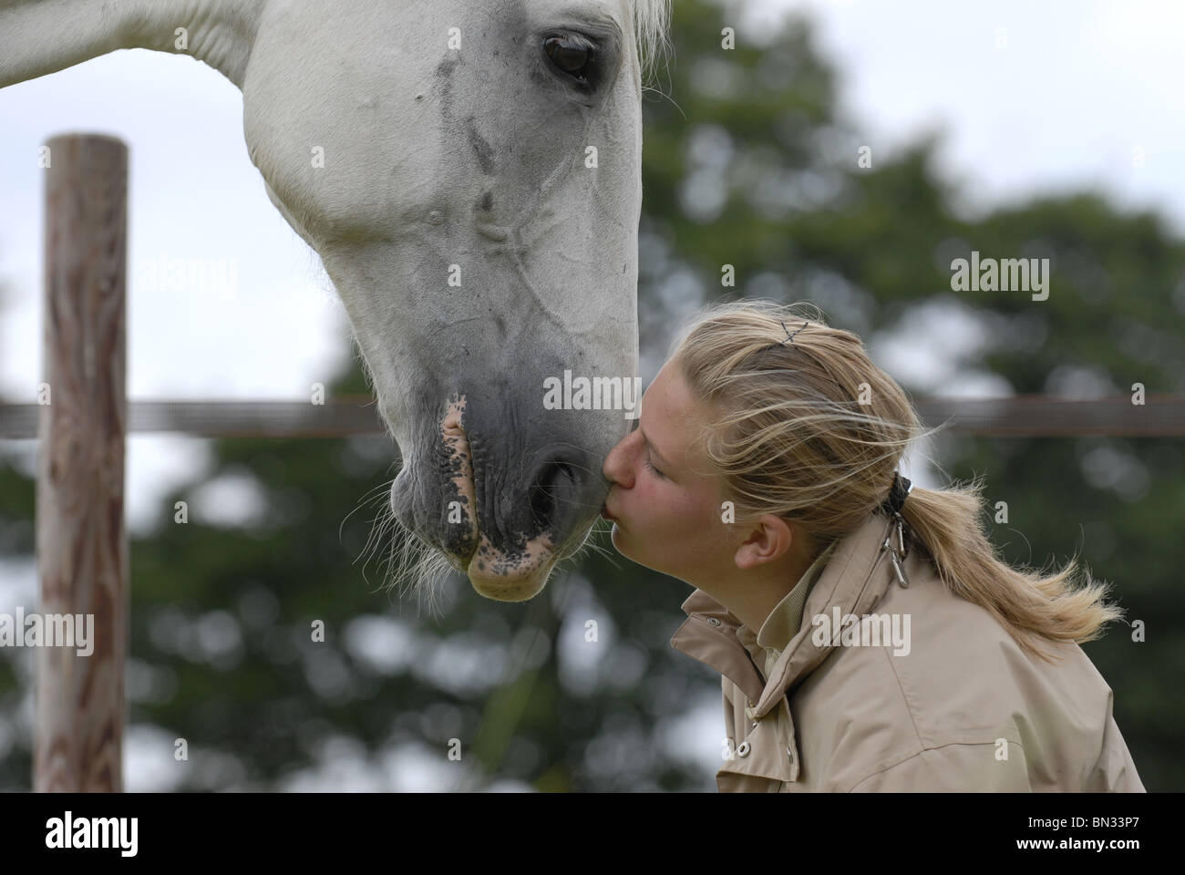 Femme baiser par un cheval Banque de photographies et d’images à haute résolution Alamy