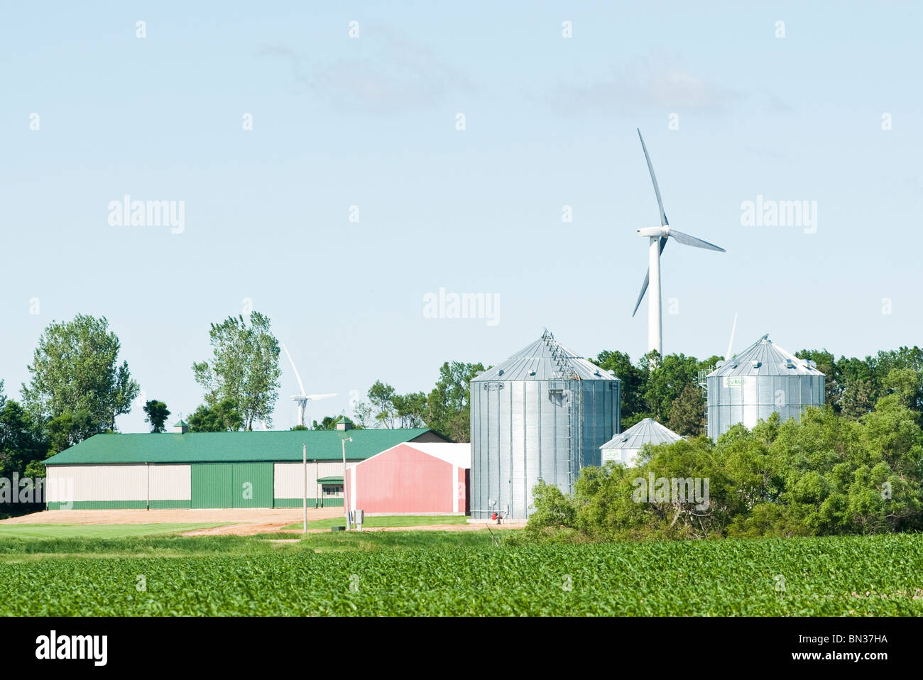 Les éoliennes situées sur des terres agricoles près de Lake Benton au Minnesota. Champ de blé en premier plan Banque D'Images