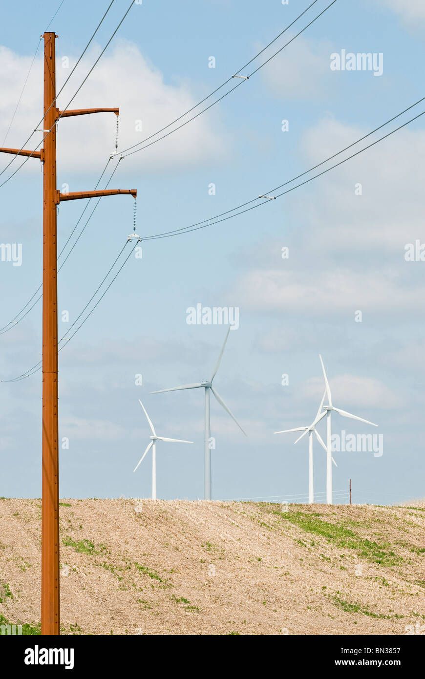 Les éoliennes et les lignes de transmission électrique situé sur des terres agricoles près de Lake Benton, Minnesota Banque D'Images
