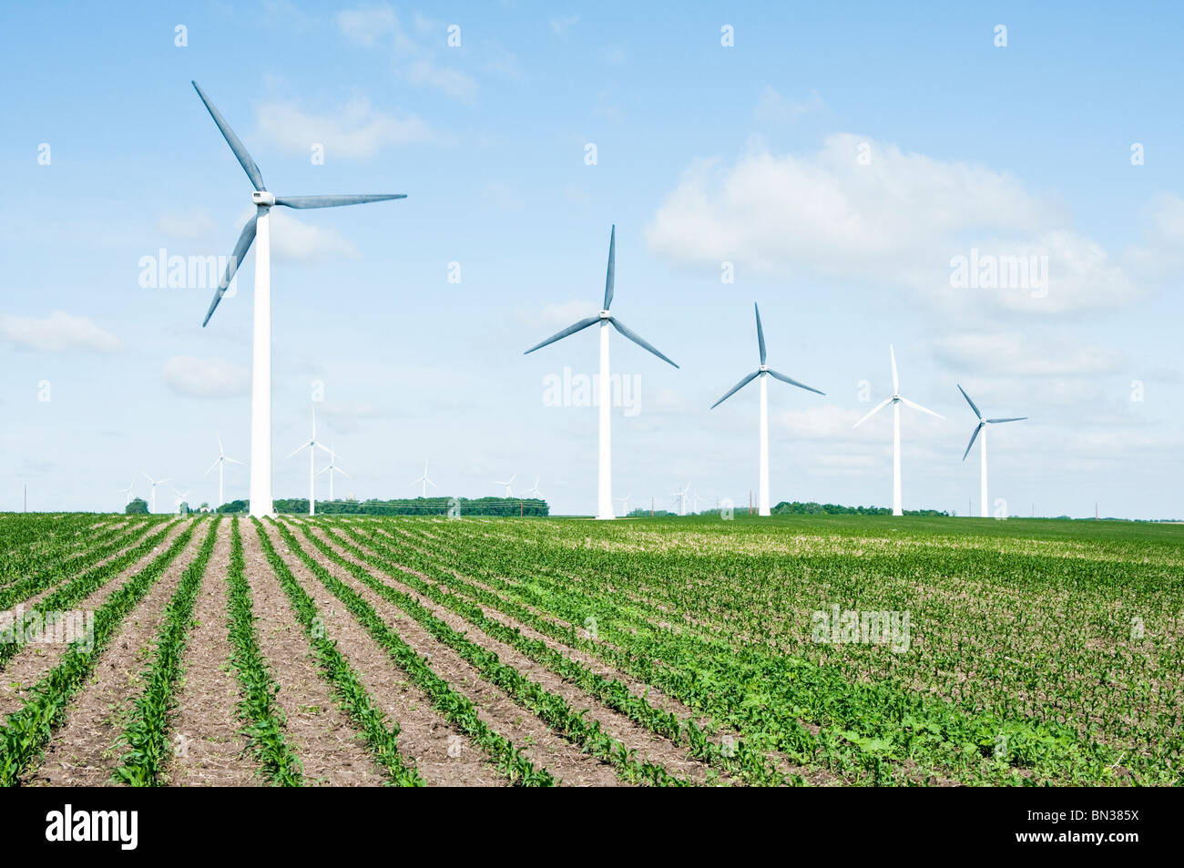 Les éoliennes situées sur des terres agricoles près de Lake Benton au Minnesota. Champ de maïs à l'avant-plan. Banque D'Images
