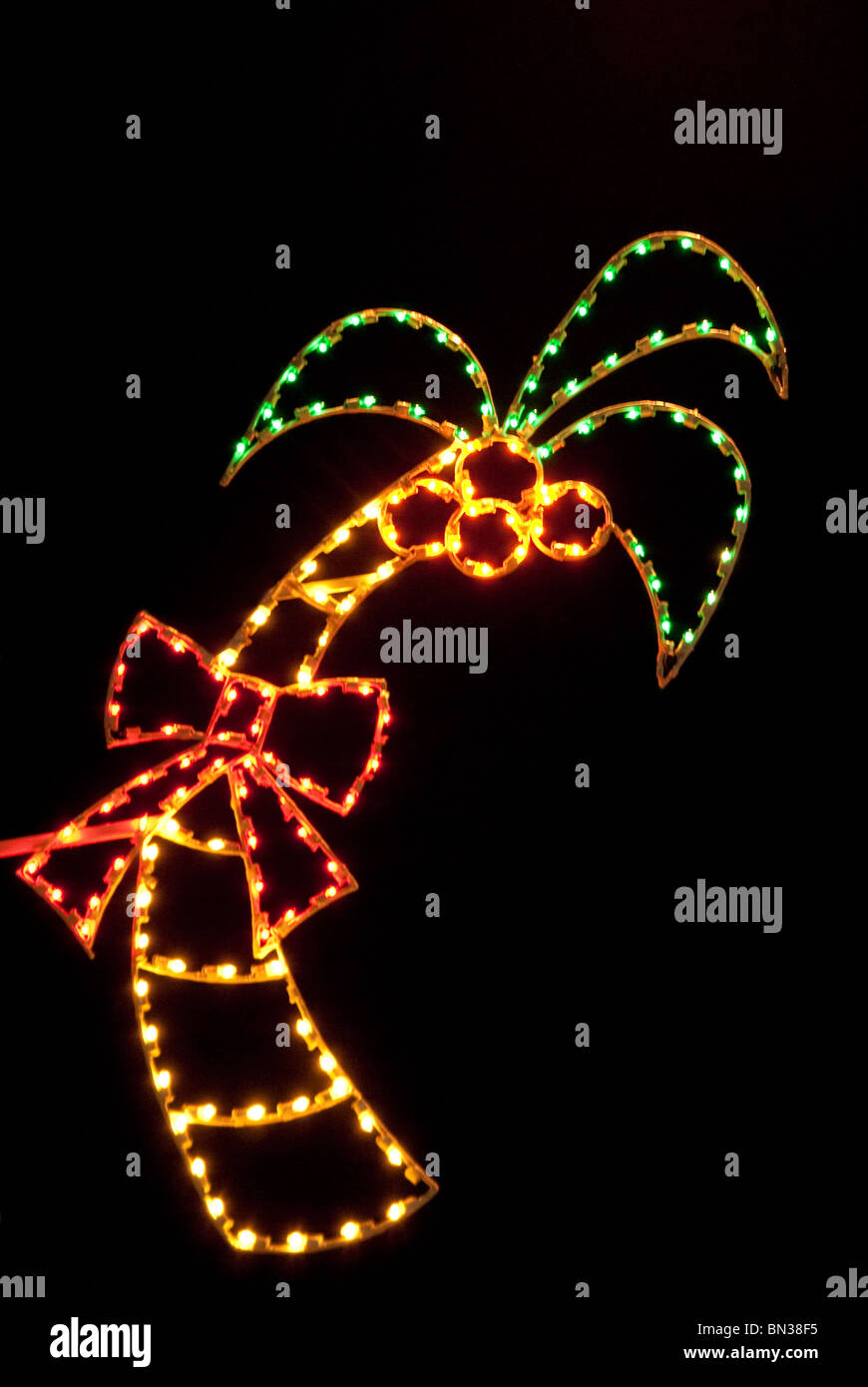 Décorations lumineuses de Noël dans la région de North Bay Village de Miami Beach, Floride, USA Banque D'Images