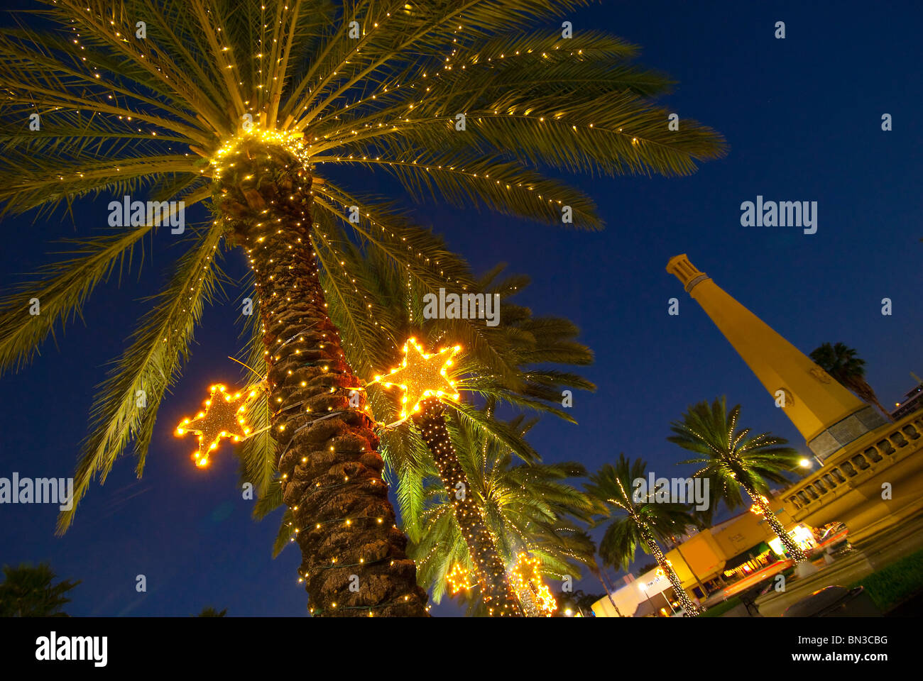 Palmiers décoré de lumières de Noël dans le quartier de l'île de Normandie à Miami Beach, Floride, USA Banque D'Images