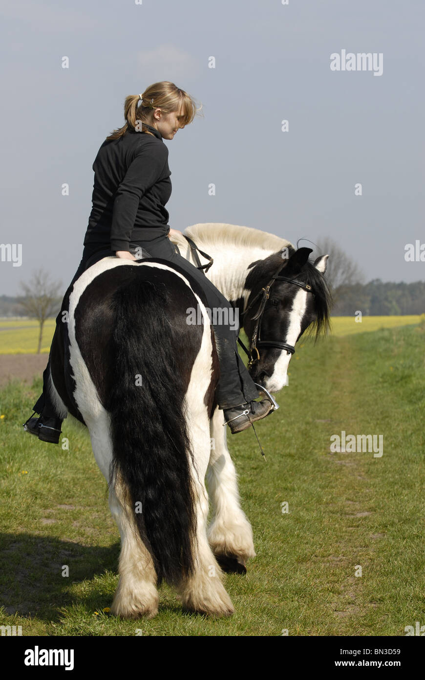 cheval femme Banque D'Images