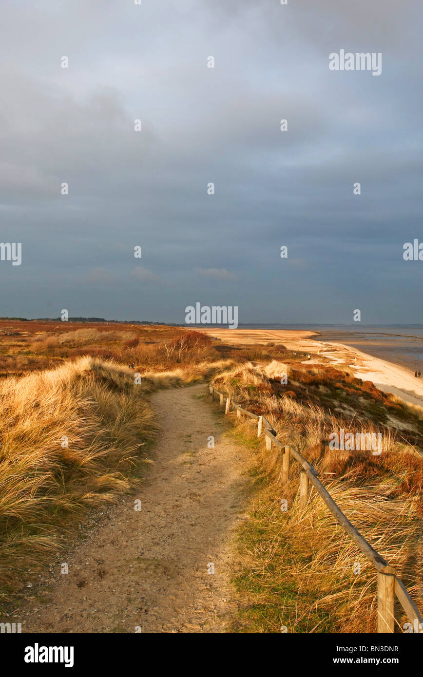 Sur le chemin d'une côte, dunes à Braderuper Heide, Sylt, Allemagne Banque D'Images