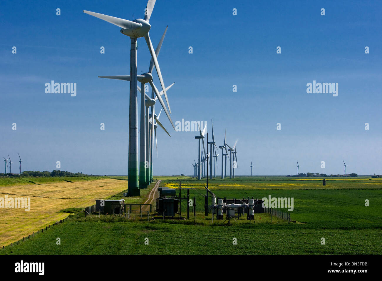 L'énergie éolienne, l'usine Niebuell, Schleswig-Holstein, Allemagne Banque D'Images