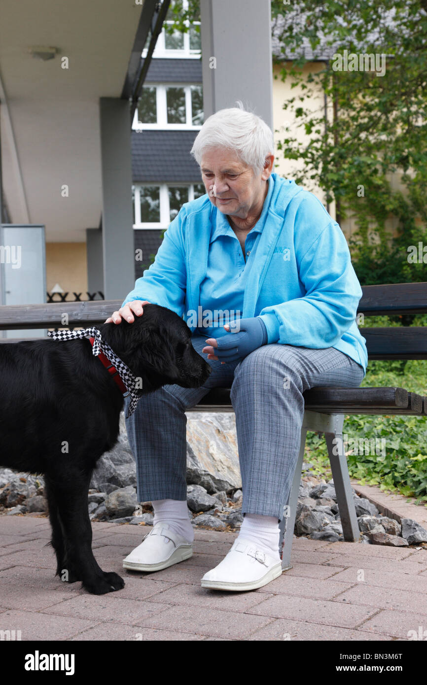 Dog (Canis lupus f. familiaris), vieille femme assis sur le banc d'un sanatorium en caressant un jeune chien de thérapie en cours Banque D'Images