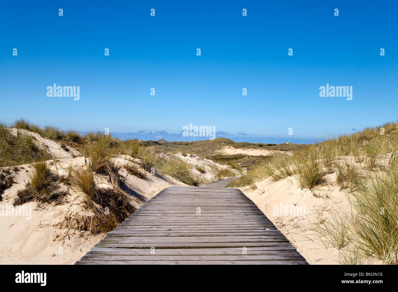 Chemin en bois à travers les dunes près de Norddorf, Amrum Island, Allemagne Banque D'Images