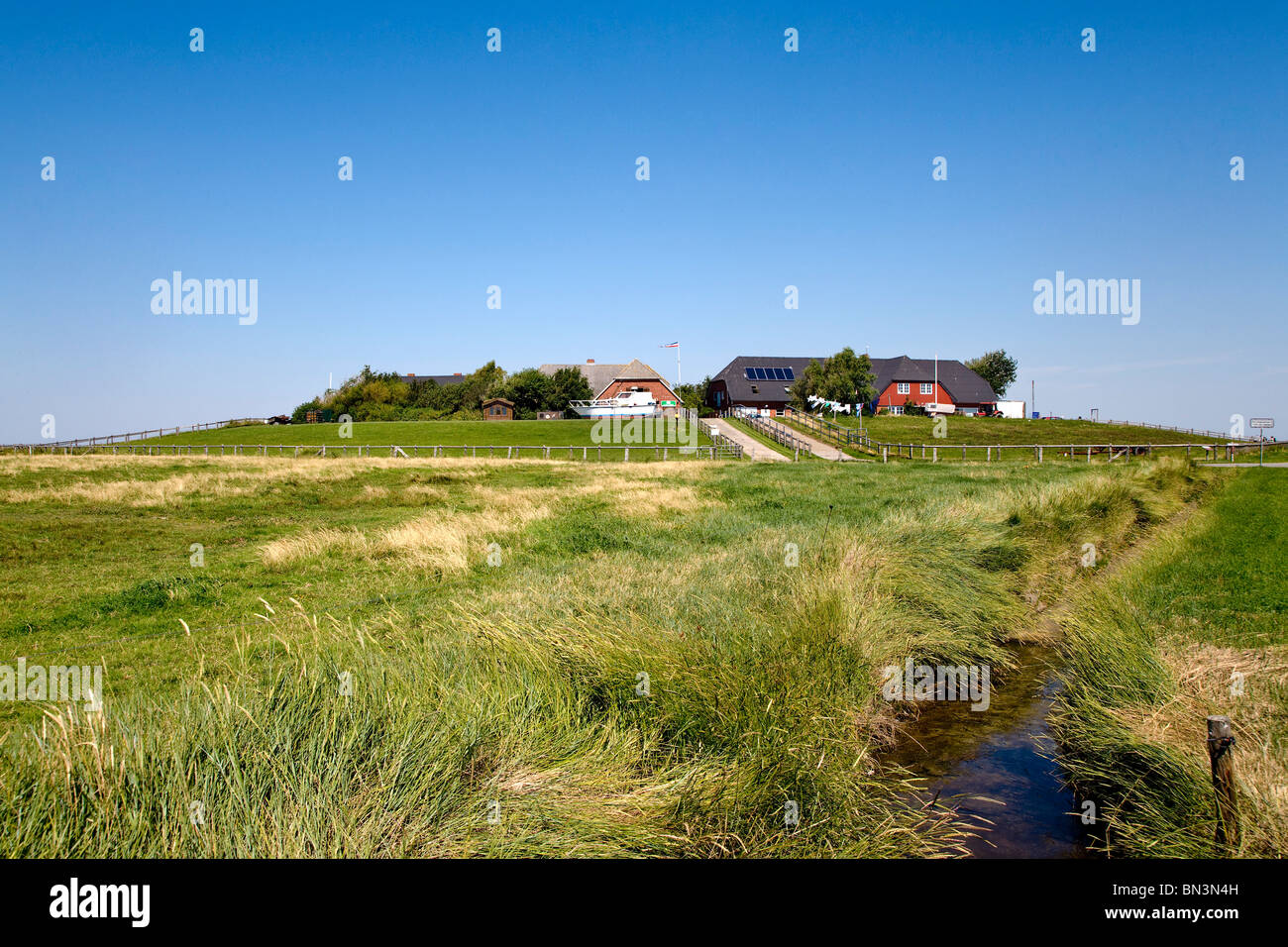 Hunnenswarft, Hallig Langeness, Nordfriesland, Schleswig-Holstein, Allemagne Banque D'Images