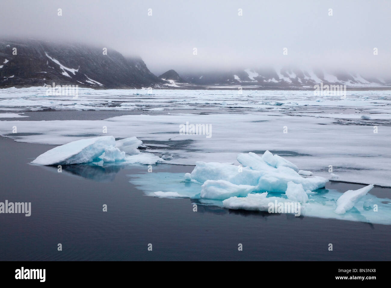 Des blocs de glace dans l'océan Arctique, Spitzberg, Norvège, Europe Banque D'Images