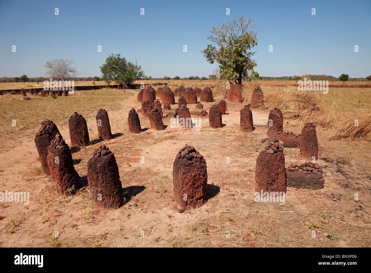 Stone Circle, Wassu, Gambie, Afrique de l'Ouest, l'Afrique Banque D'Images