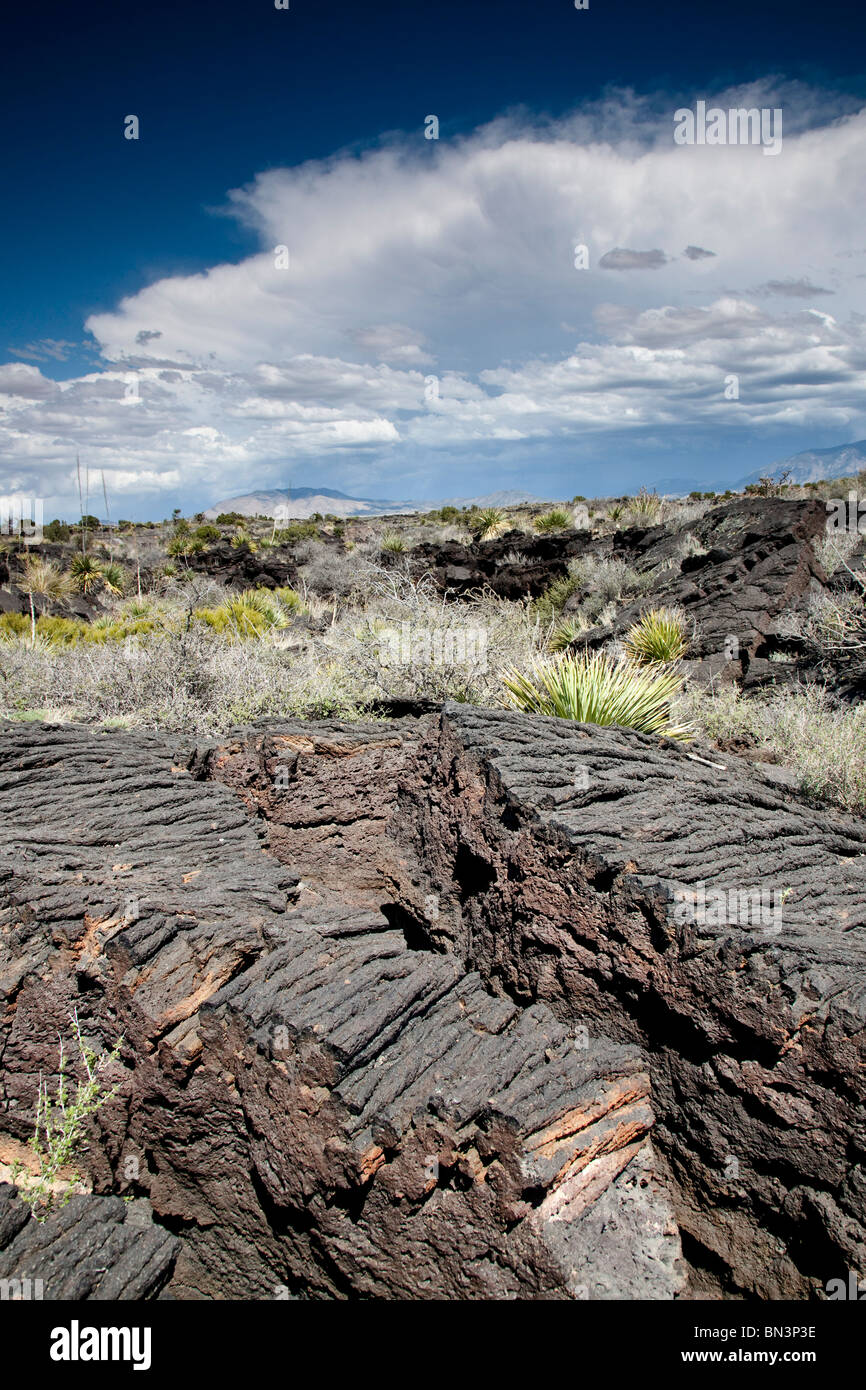 Des roches de lave à la vallée d'Incendies Recreation Area, New Mexico, USA Banque D'Images