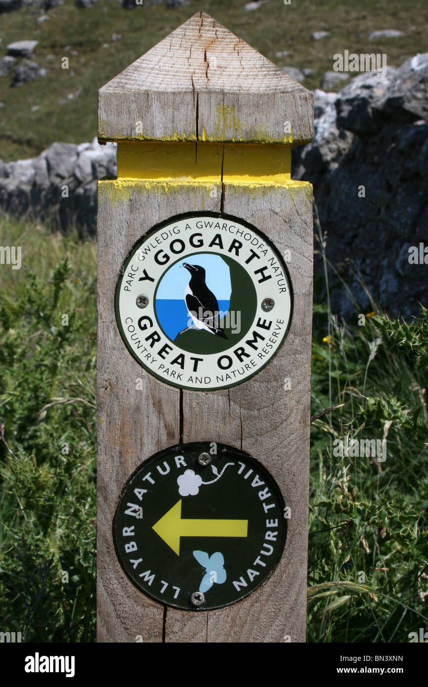 Grand Orme Y Gogarth Chemin Réserve Naturelle de signer, Llandudno, au Pays de Galles Banque D'Images