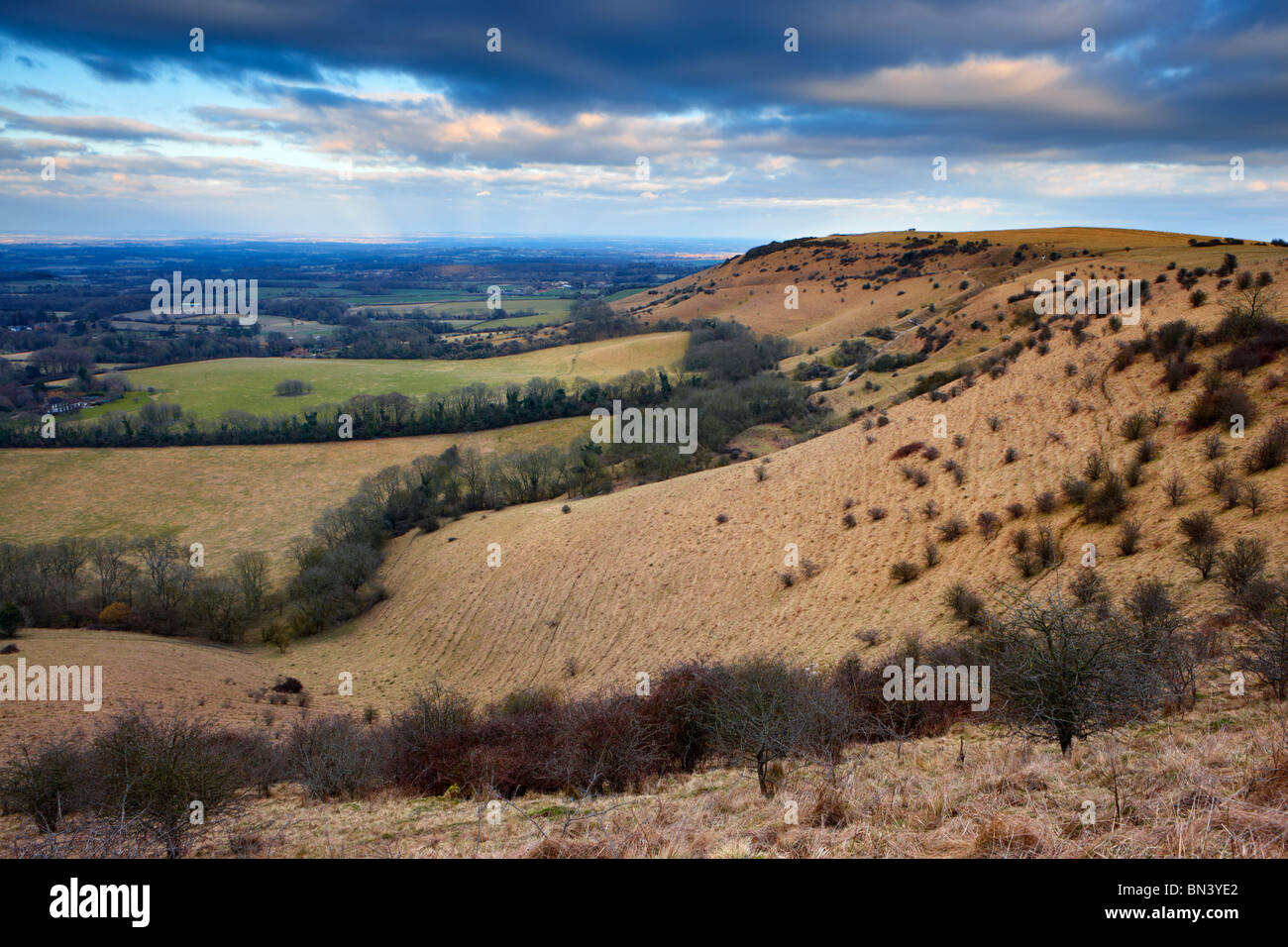 La colline du Parc National des South Downs à l'orient de Ditchling Beacon le long de la South Downs Way Banque D'Images