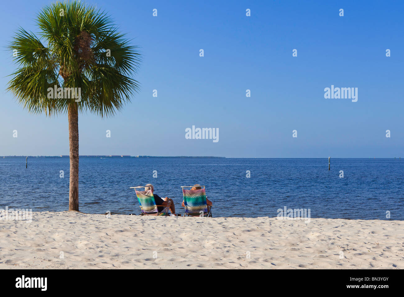 Détente sur la plage sous un palmier Banque D'Images