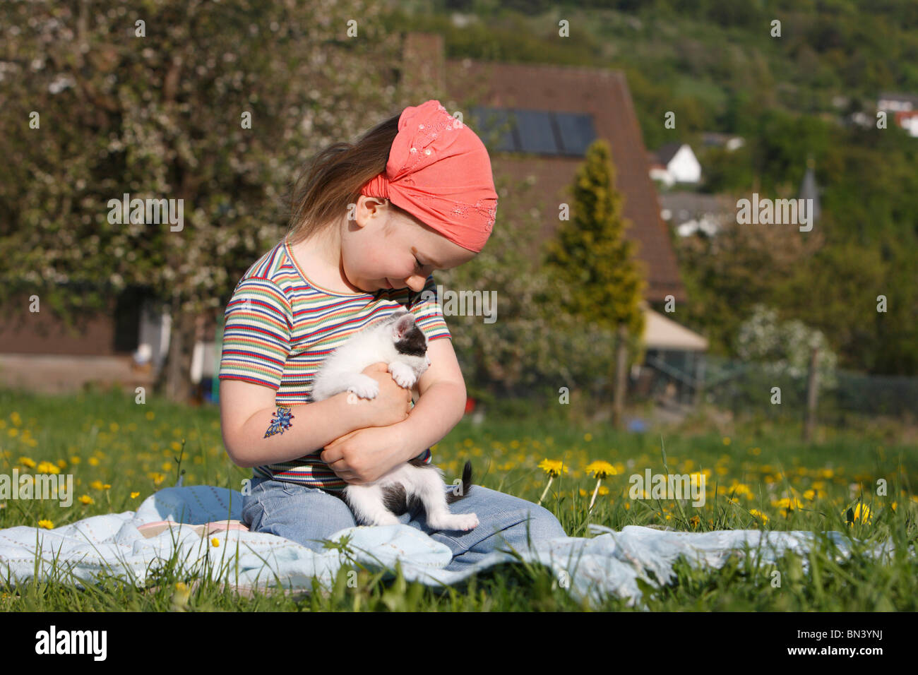 Chat domestique, chat de maison, European Shorthair (Felis silvestris  catus) f., 4 ans fille avec un chaton sur les bras Photo Stock - Alamy