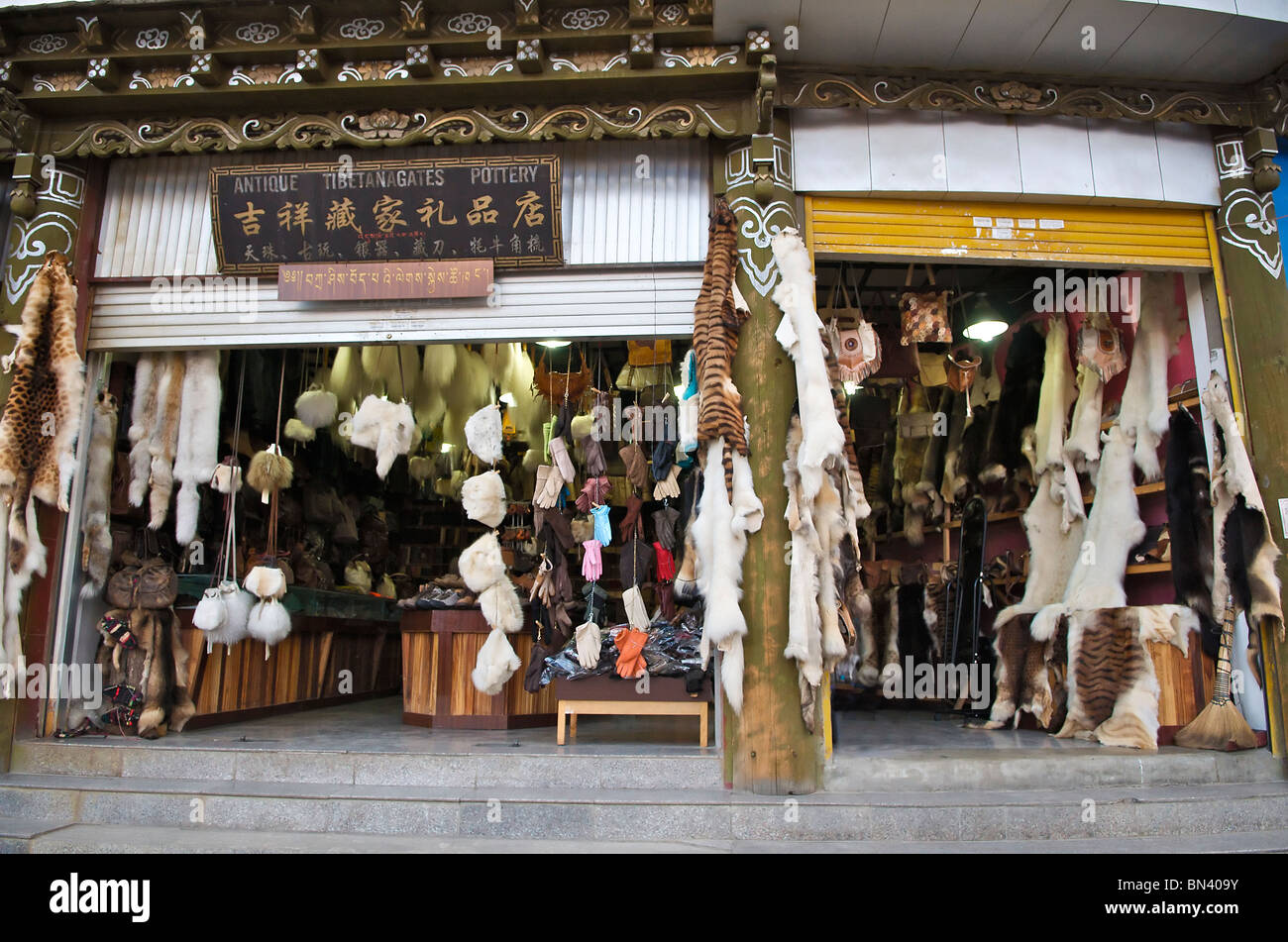 Magasin de vente de fourrures de peaux d'animaux en voie de disparition y compris les peaux de tigre Zhongdian Yunnan Chine Banque D'Images