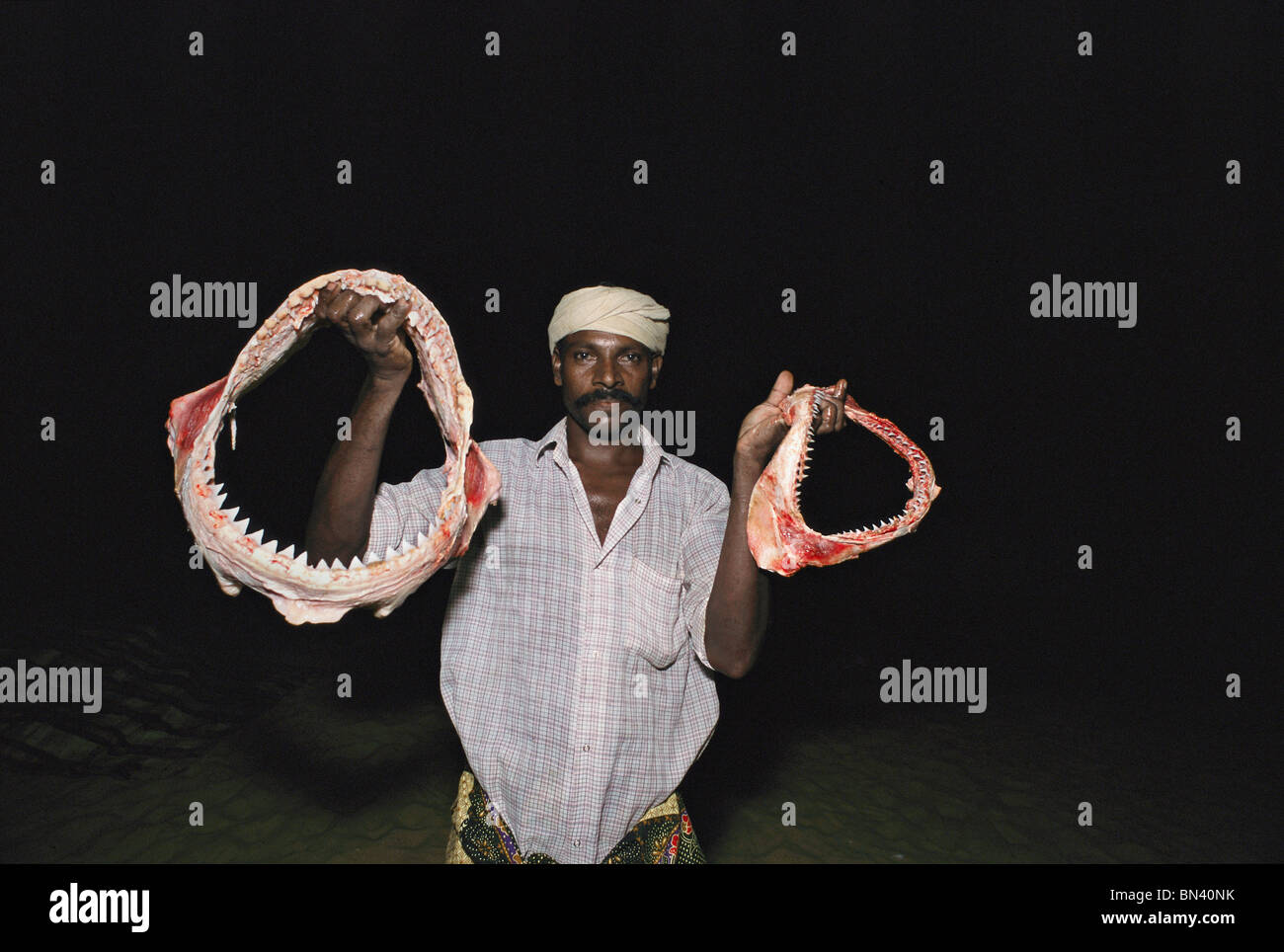 Mâchoires de requin pour être vendus en tant que bibelots bibelots , Thoothoor () - L'Inde. Banque D'Images