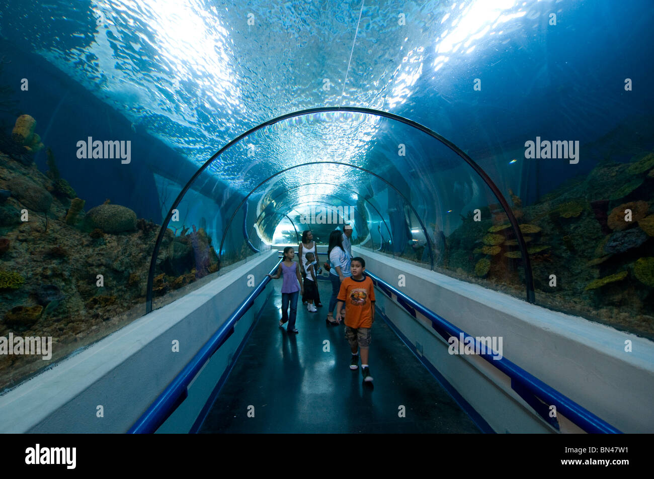 Les gens admirent la faune marine lorsqu'ils marchent à travers un tunnel en plexiglas qui va tout le long de l'intérieur du Énormes piscines à l'Aquarium national de Santo Domingo Dominican République Banque D'Images