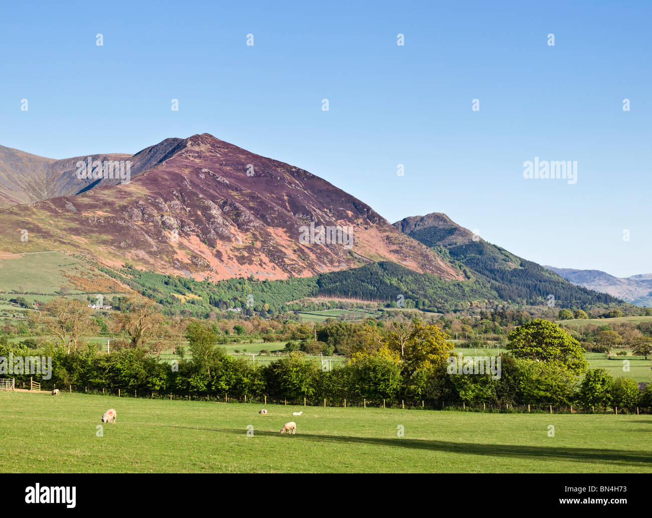 Skiddaw mountain, Lake District, Cumbria, England, UK Banque D'Images