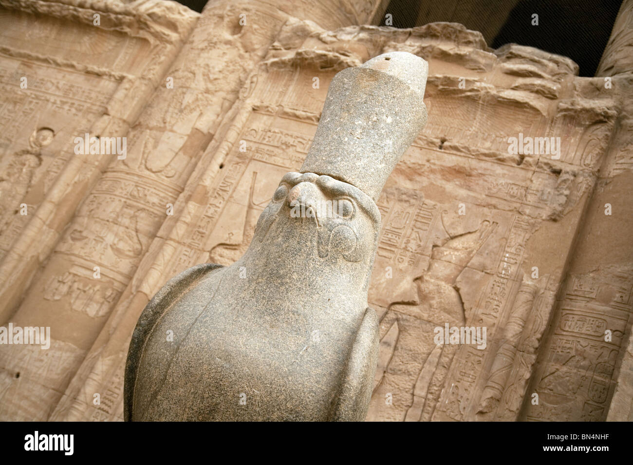 Statue de l'ancien dieu égyptien Horus dans l'avant-cour du temple d'Edfou, Edfou, Egypte Banque D'Images