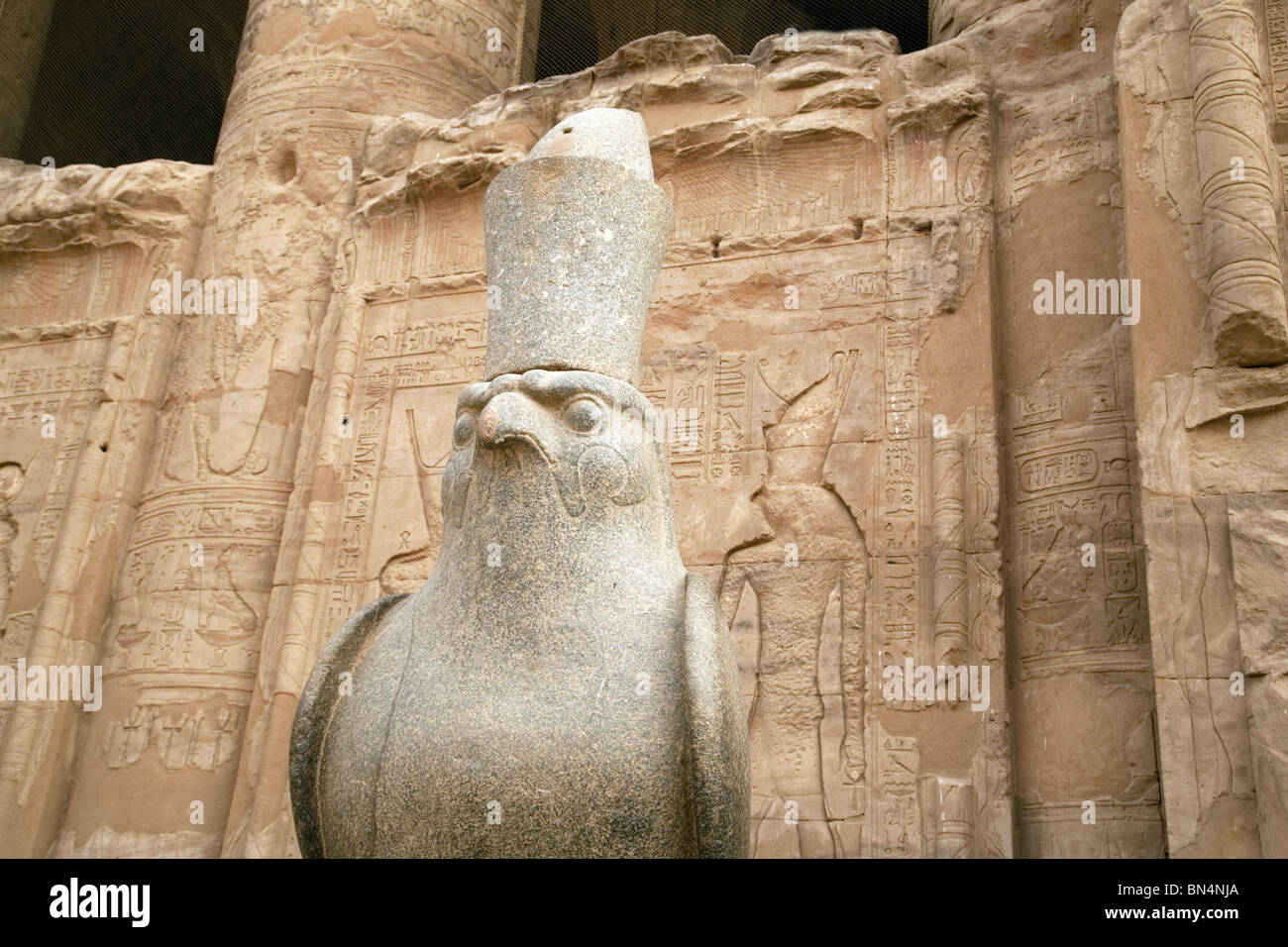 Statue de l'ancien dieu égyptien Horus dans l'avant-cour du temple d'Edfou, Edfou, Egypte Banque D'Images