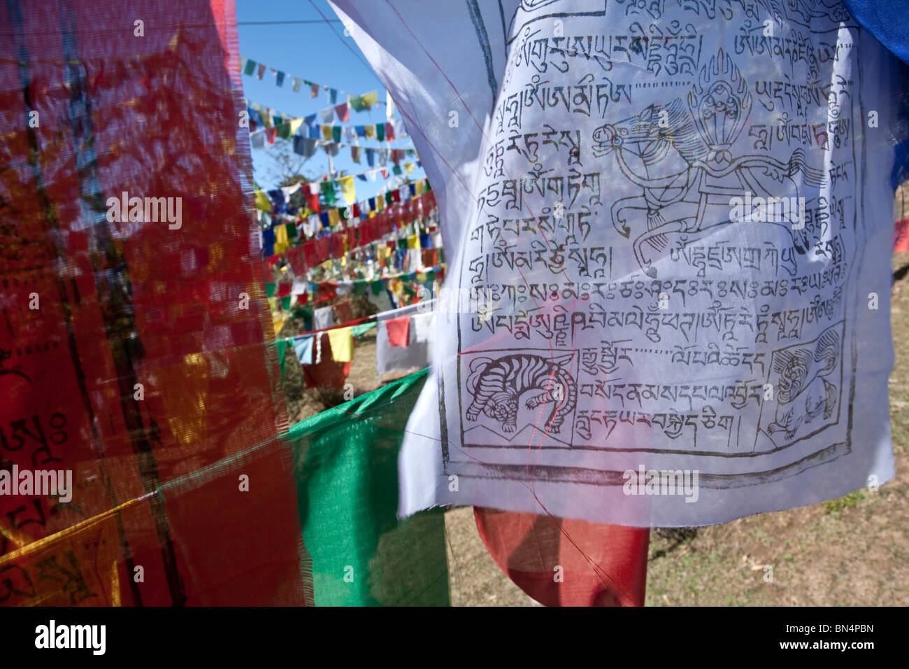 Drapeaux de prière Tibetains. McLeod Ganj (Gouvernement tibétain en exil). Dharamsala. L'Inde Banque D'Images