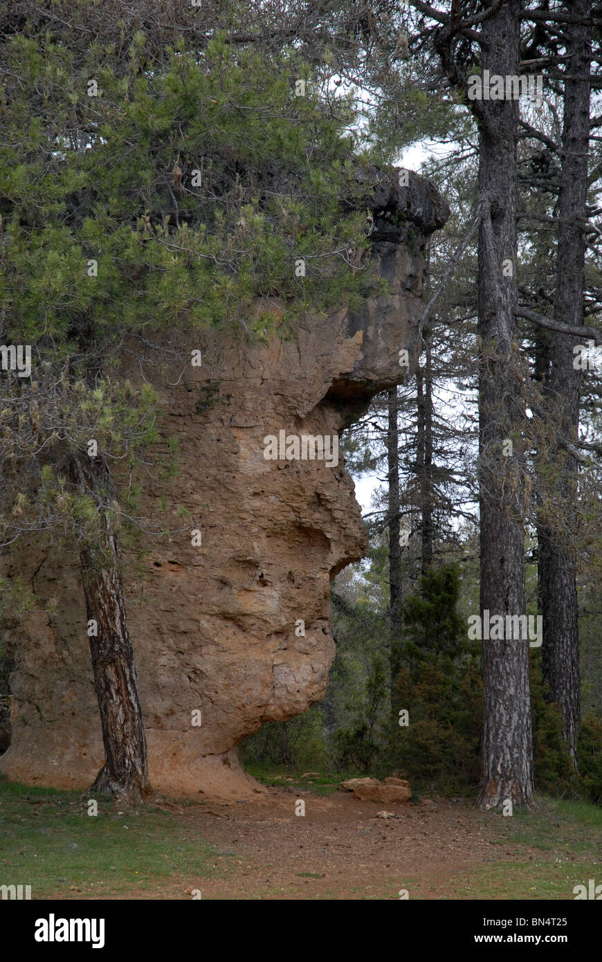 Formation rocheuse en forme de visage humain de profil, Ciudad Encantada (Ville Enchantée), Cuenca, Castille-La Manche, Espagne Banque D'Images