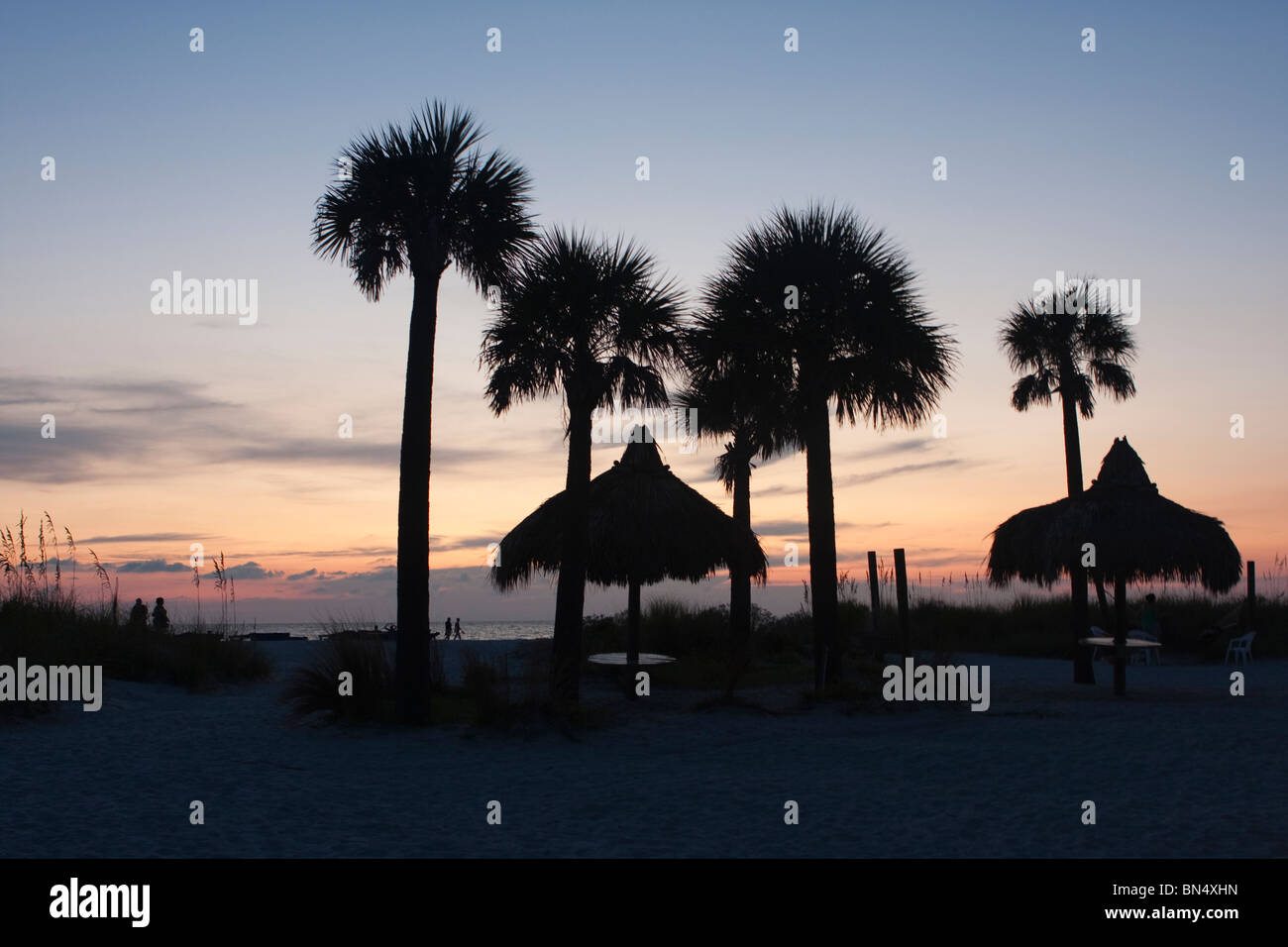 Palmiers et un parapluie tiki table sur la plage de la côte ouest de la Floride pendant le coucher du soleil Banque D'Images
