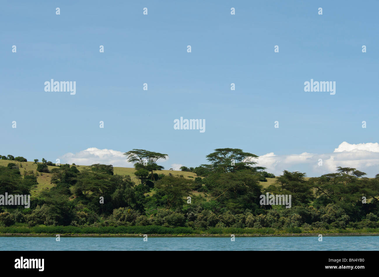 Lac avec de l'écosystème de savane Banque D'Images