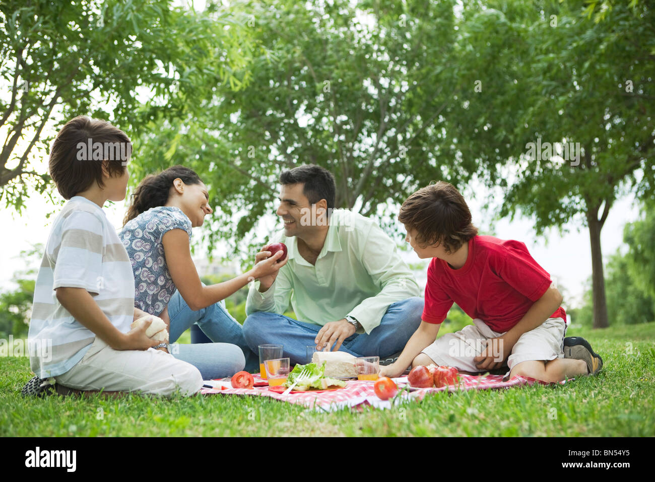 Pique-nique en famille en plein air Banque D'Images