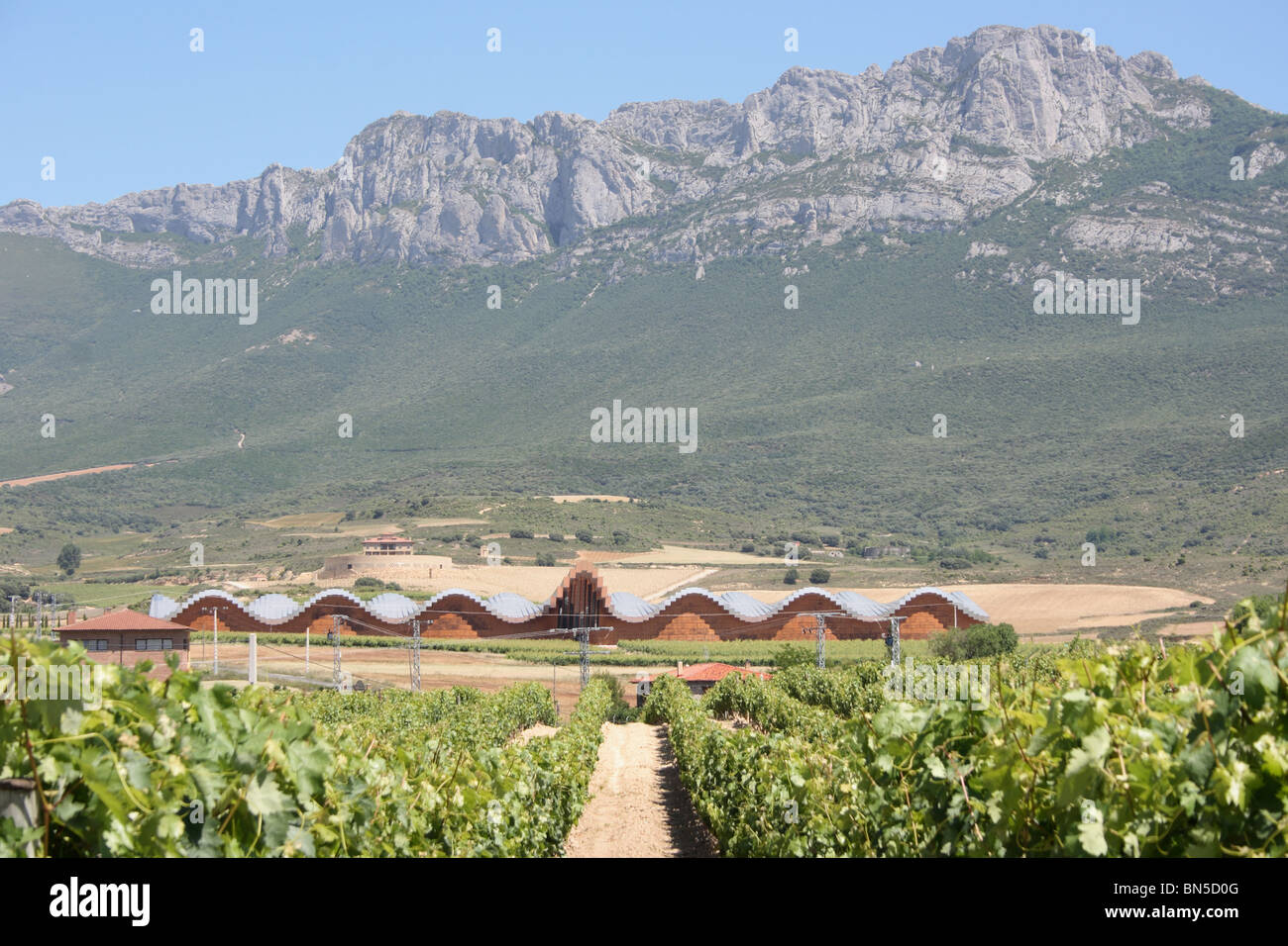 Bodegas Ysios Winery et vinyard, avec la Sierra de Cantabria au-delà, près de l'aéroport Laguardia, Alava, Pays Basque, Espagne, Rioja Alavesa Banque D'Images