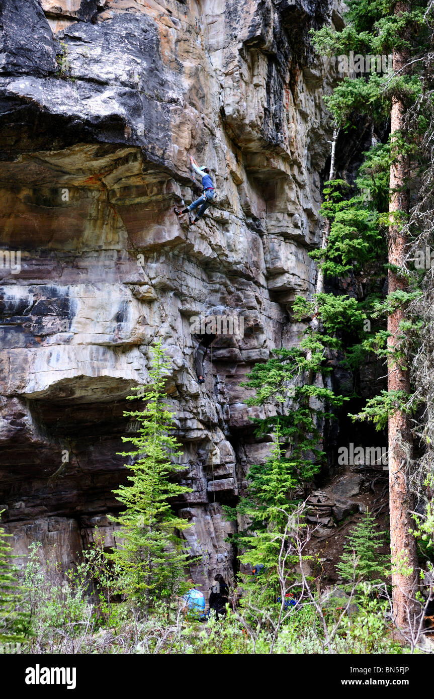 Un alpiniste manoeuvrant une falaise rocheuse. Le parc national Banff, Alberta, Canada. Banque D'Images