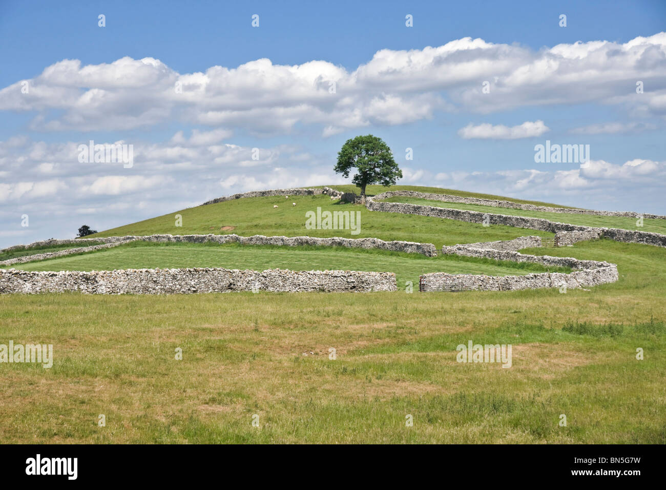 Les murs et les terres agricoles dans la région de Eden Valley près de Sedbergh, Cumbria Banque D'Images