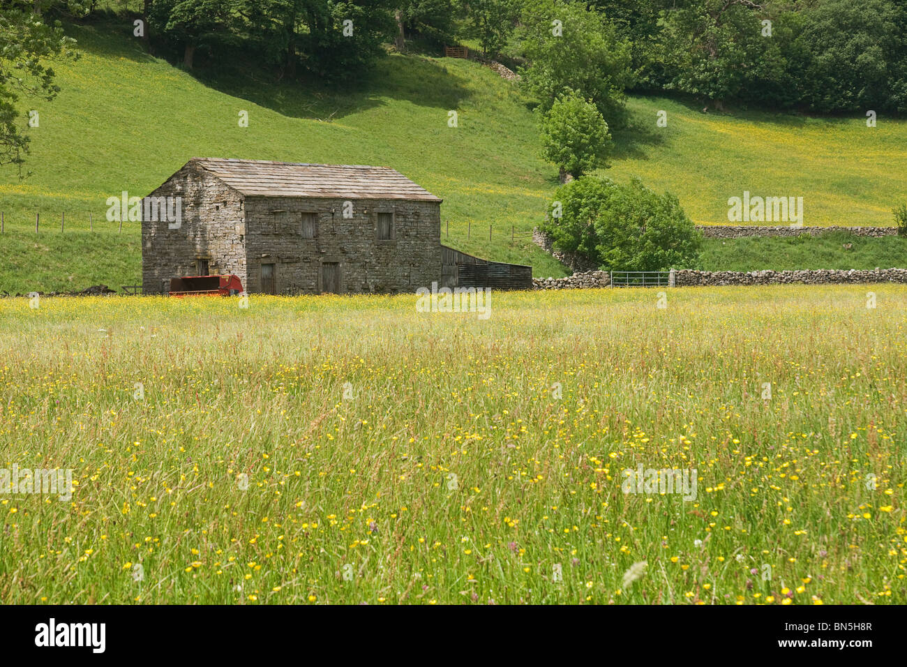 Grange et hay meadow dans la région de Swaledale, Yorkshire, UK Banque D'Images