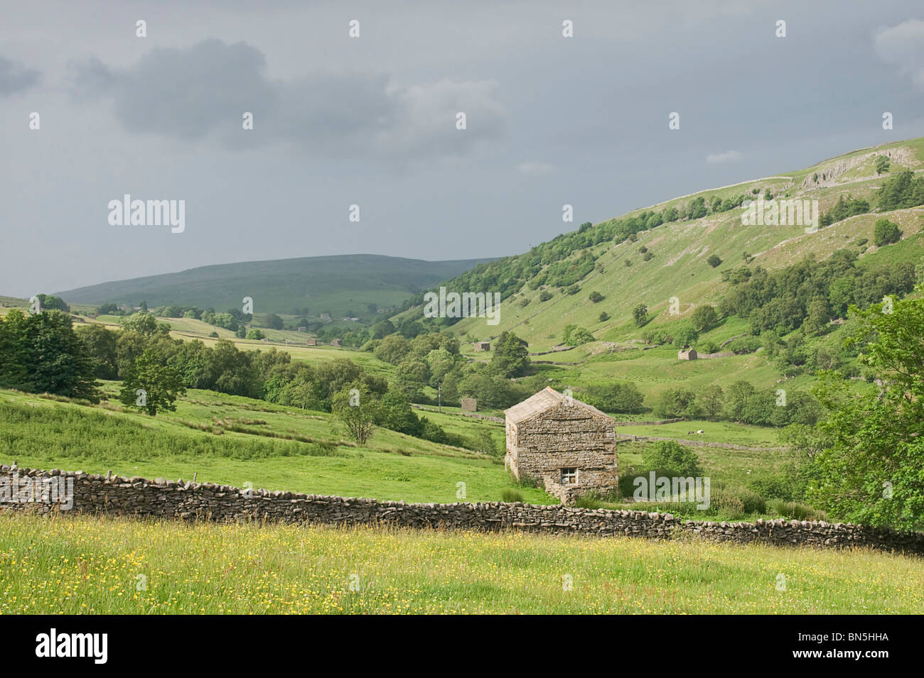 Grange et champs près de Mickfield dans la région de Swaledale, Yorkshire, UK Banque D'Images