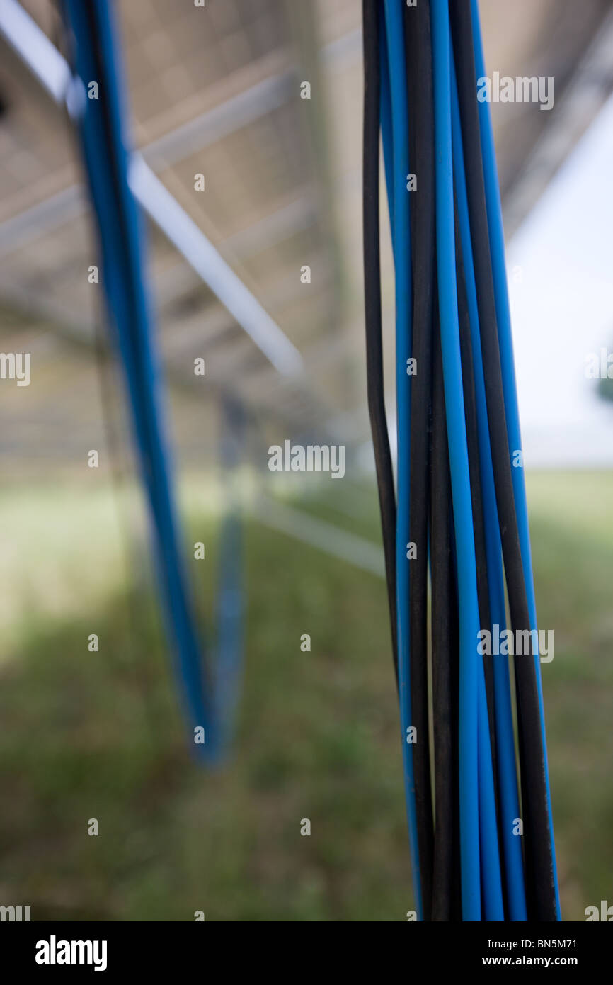 Les câbles d'alimentation dans le cadre de modules photovoltaïques dans une ferme solaire de l'installation (pas encore terminé) Banque D'Images