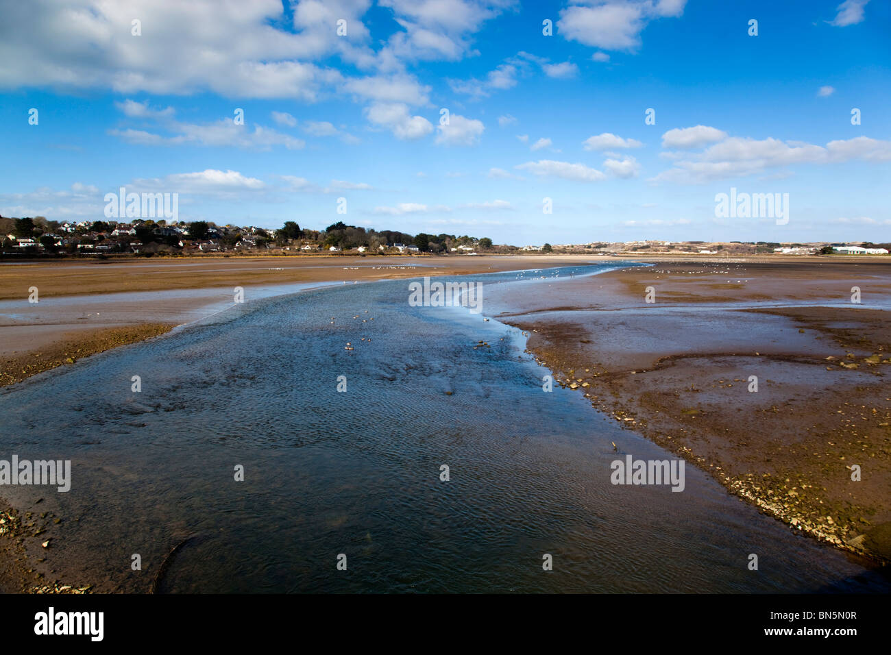 Hayle rivière à marée basse ; en regardant vers la côte et Lelant, Cornwall Banque D'Images
