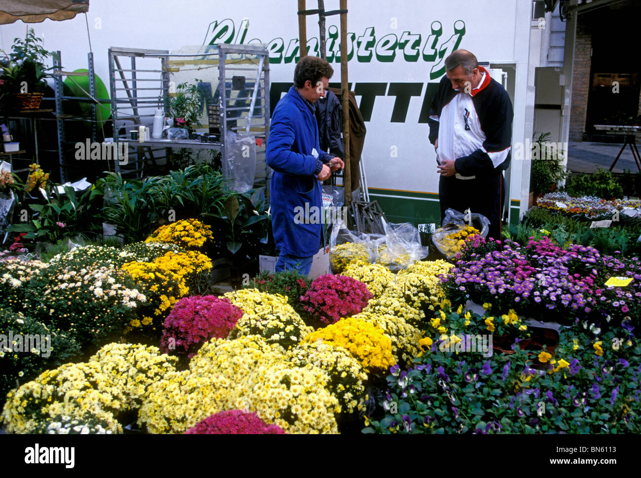 Peuple belge, l'homme adulte, vendeuse de fleurs, vente de fleurs, marché Midi, gare du Midi, ville de Bruxelles, Bruxelles, Bruxelles-Capitale, Belgique Banque D'Images