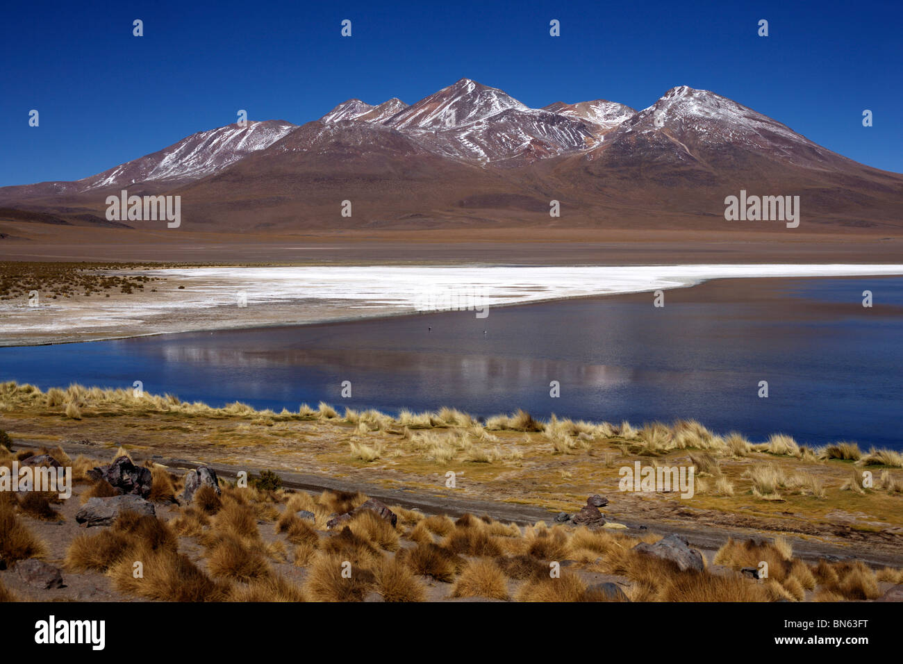 Laguna Canapa dans le sud de l'altiplano, le désert près de Salar de Uyuni en Bolivie Banque D'Images