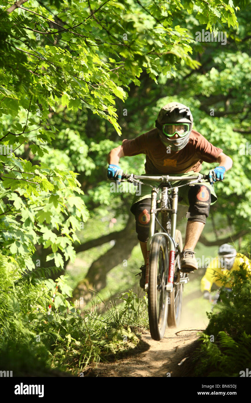 Vélo de montagne vtt de descente au cours de la race à Szczyrk, montagnes des Beskides, en Pologne. Banque D'Images