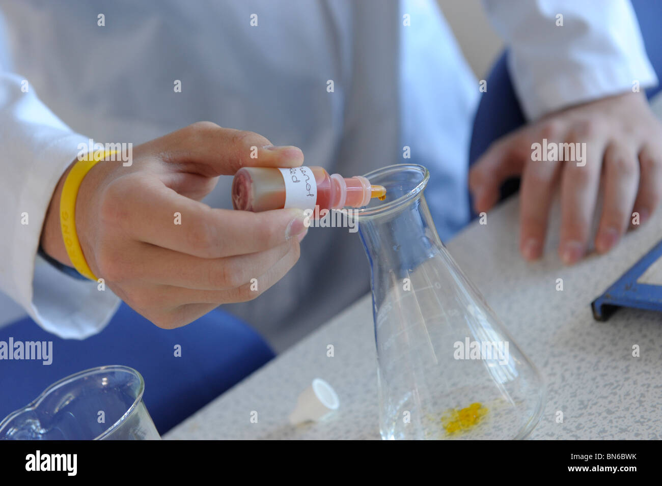 L'ajout d'étudiant en chimie du rouge de phénol dans un bécher en verre dans un laboratoire d'école Banque D'Images