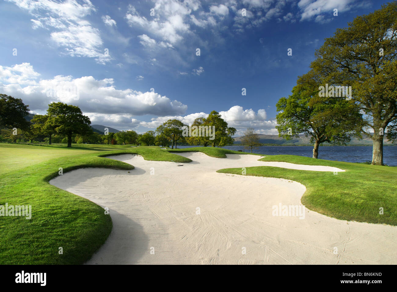 Loch Lomond Golf Course, Glasgow, Ecosse. Le trou 6 Bunker d'arbres au loin Banque D'Images