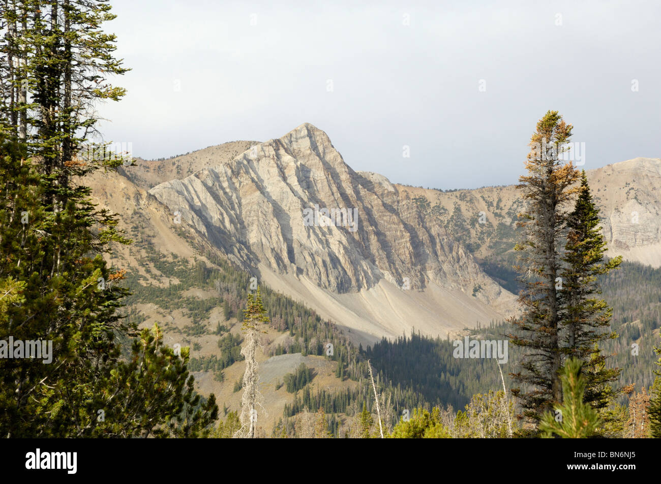 Nuage Blanc, montagnes Rocheuses, California, USA Banque D'Images