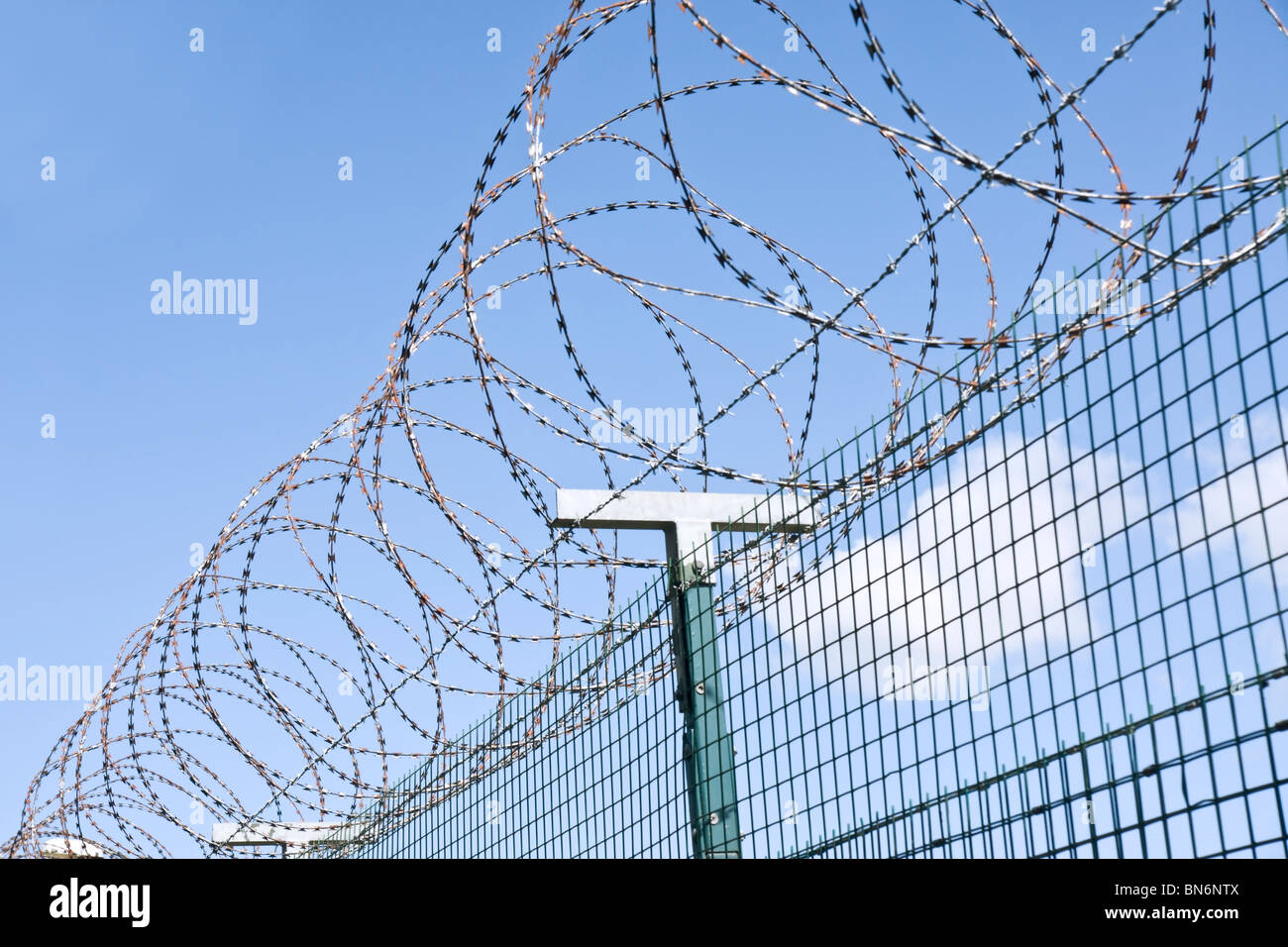 Barbelés topping une clôture. Banque D'Images