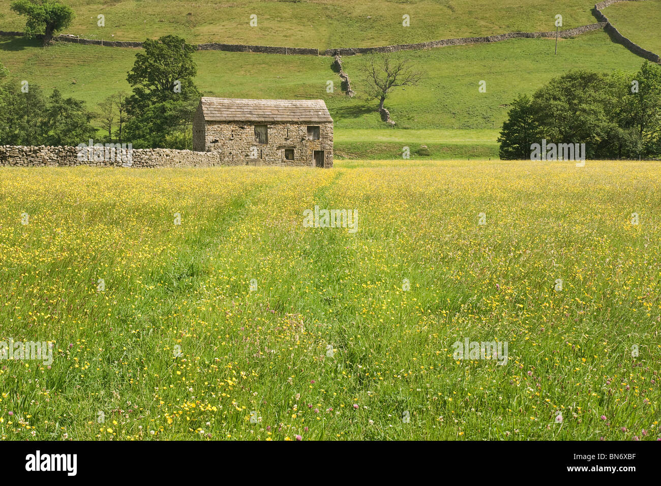 Grange et hay meadow dans la région de Swaledale, Yorkshire, UK Banque D'Images