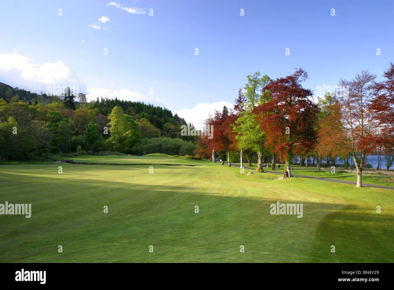 Loch Lomond Golf Course, Glasgow, Ecosse. 16 fairway trou d'arbres. Banque D'Images