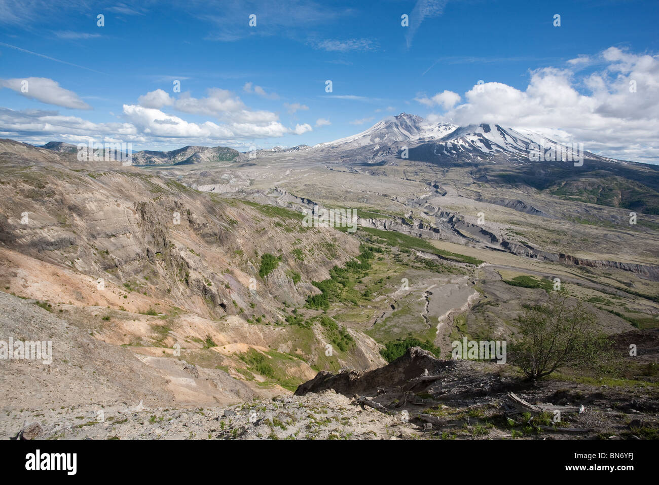 Mont St Helens - Washington Monument Volcanique National Banque D'Images