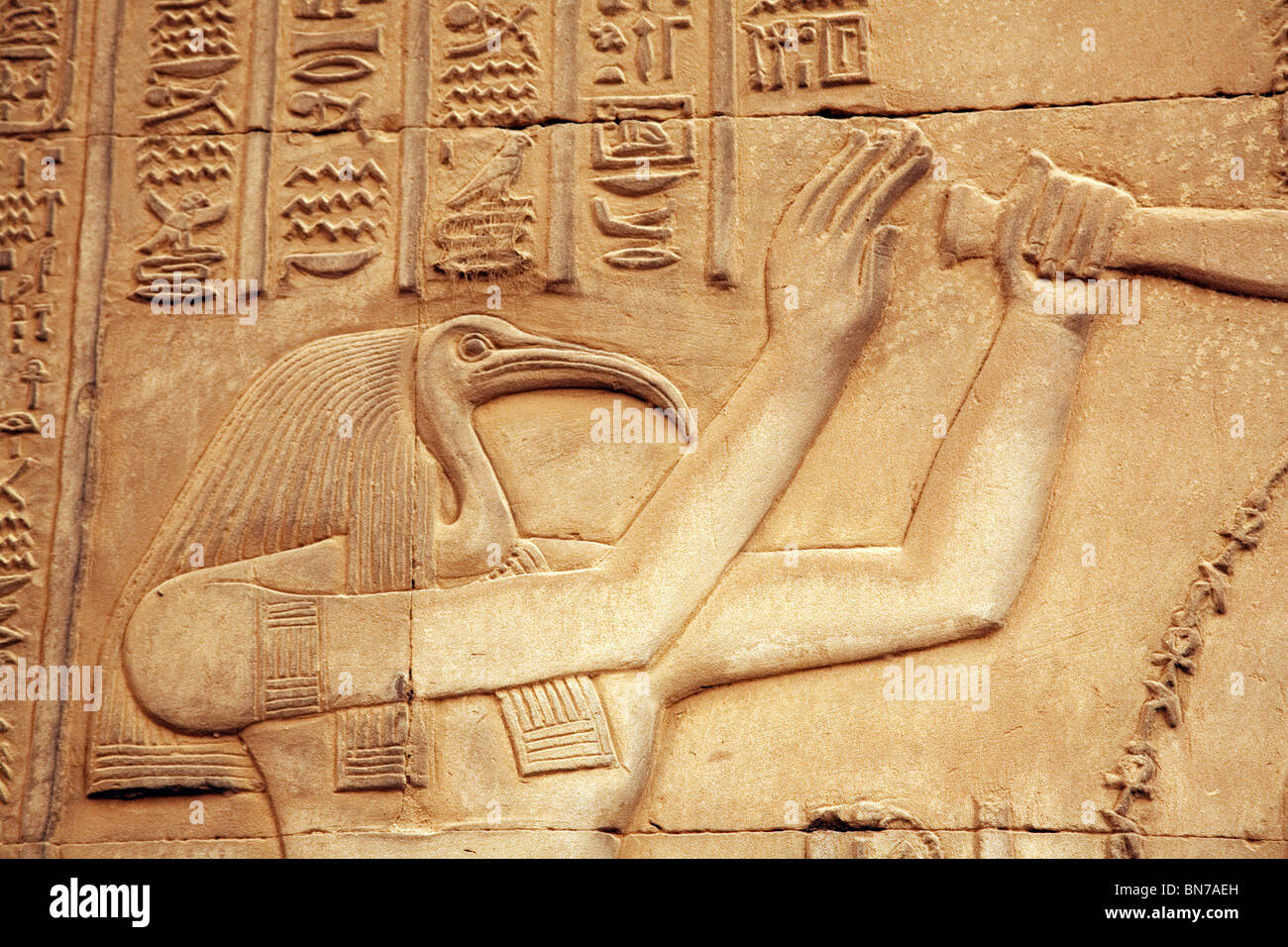 Bas secours albâtre sculpture du dieu Thoth, dieu de l'écriture et de la sagesse, le Temple d'Horus et Sobek, Kom Ombo, haute-Égypte, Afrique Banque D'Images