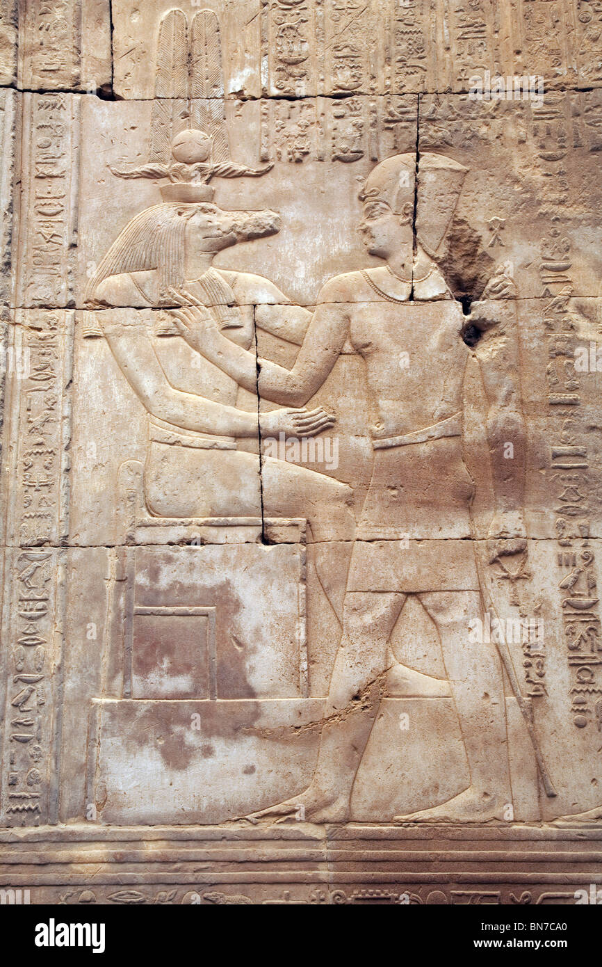 Bas-relief de l'albâtre sculptures du dieu crocodile Sobek au Temple d'Horus et de Sobek, Kom Ombo, Haute Egypte Banque D'Images